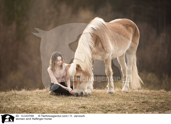 woman and Haflinger horse / VJ-03768
