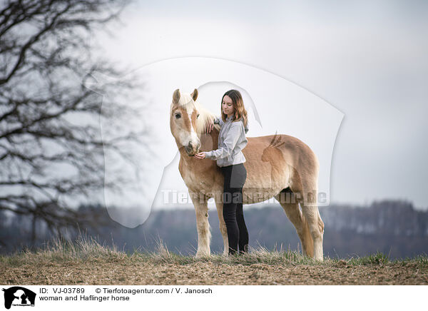 woman and Haflinger horse / VJ-03789