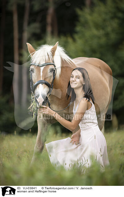 woman and Haflinger horse / VJ-03841
