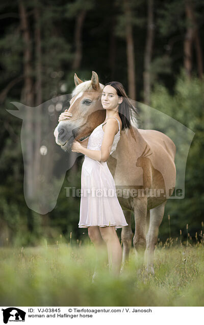 woman and Haflinger horse / VJ-03845