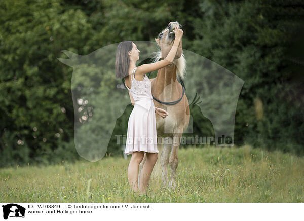 woman and Haflinger horse / VJ-03849