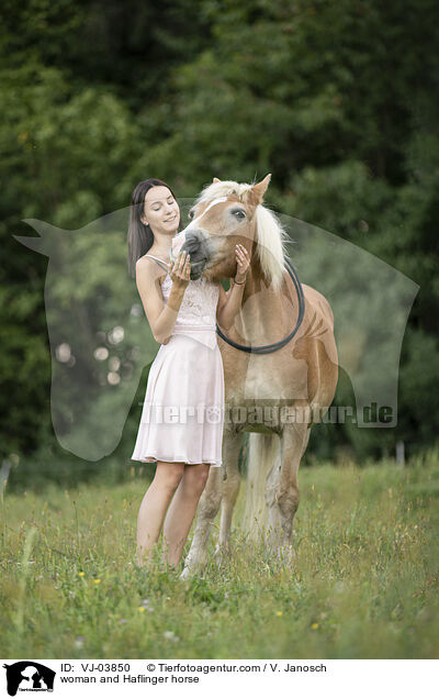 woman and Haflinger horse / VJ-03850