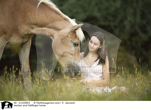woman and Haflinger horse / VJ-03853