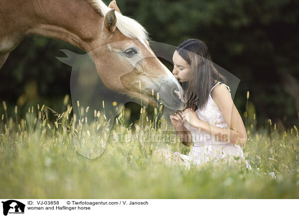 woman and Haflinger horse / VJ-03858