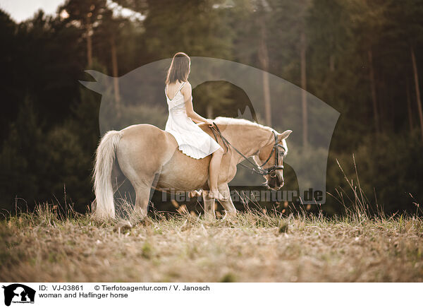 woman and Haflinger horse / VJ-03861