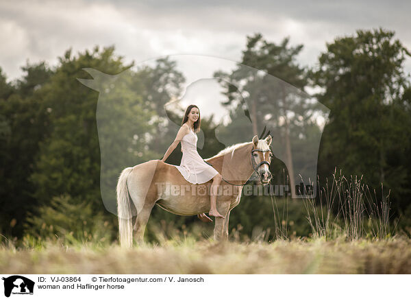 woman and Haflinger horse / VJ-03864