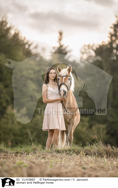 woman and Haflinger horse / VJ-03865