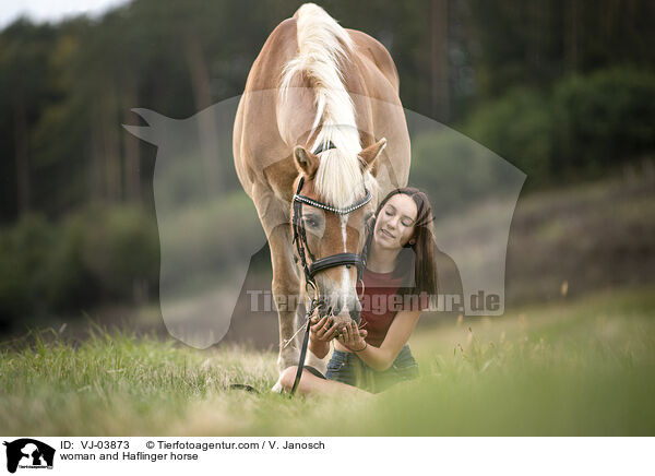 woman and Haflinger horse / VJ-03873