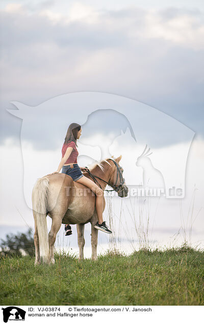 woman and Haflinger horse / VJ-03874