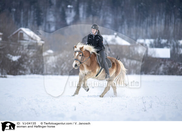 woman and Haflinger horse / VJ-04135