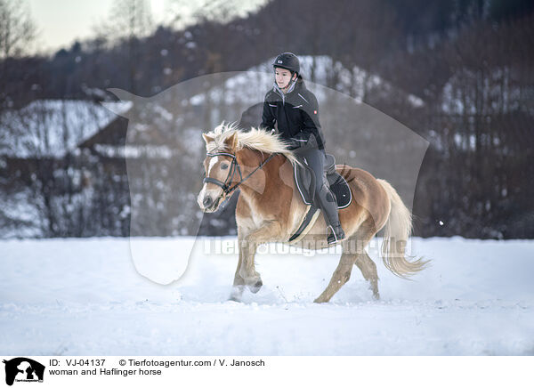 woman and Haflinger horse / VJ-04137