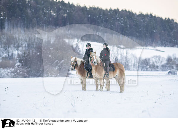 riders with Haflinger horses / VJ-04142