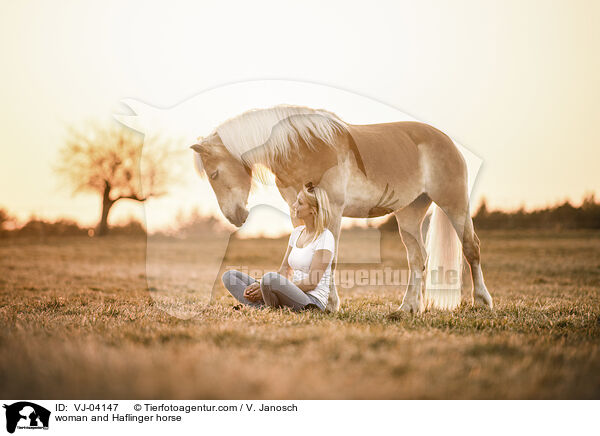 woman and Haflinger horse / VJ-04147