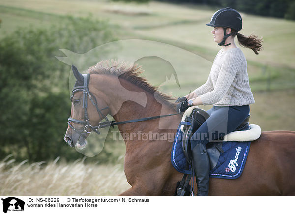 woman rides Hanoverian Horse / NS-06229