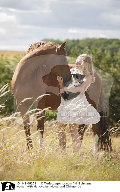 woman with Hanoverian Horse and Chihuahua / NS-06253