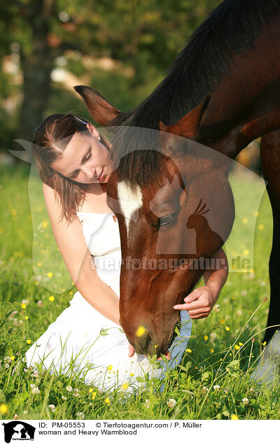 woman and Heavy Warmblood / PM-05553