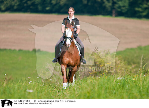 woman rides Hessian Warmblood / NS-04053