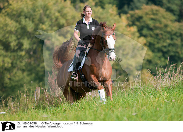 woman rides Hessian Warmblood / NS-04058