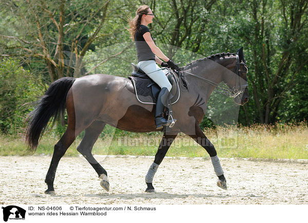 Frau reitet Hessisches Warmblut / woman rides Hessian Warmblood / NS-04606