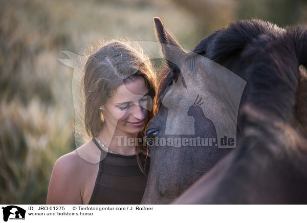 woman and holsteins horse / JRO-01275