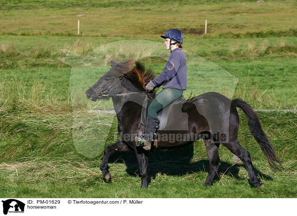 horsewoman / PM-01629