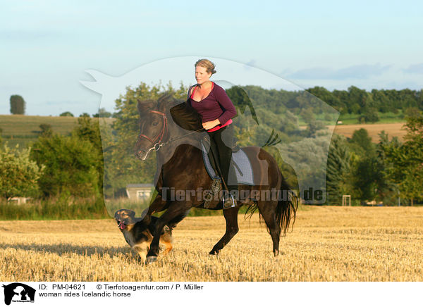 woman rides Icelandic horse / PM-04621