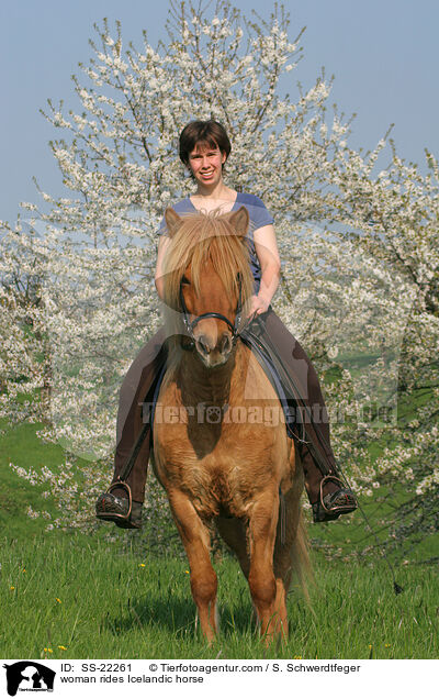 woman rides Icelandic horse / SS-22261