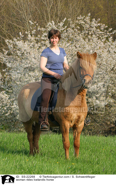 woman rides Icelandic horse / SS-22268
