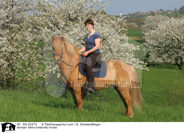 woman rides Icelandic horse / SS-22273