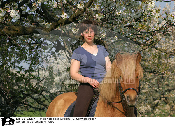 woman rides Icelandic horse / SS-22277