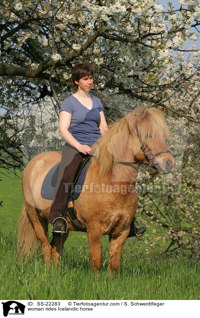 woman rides Icelandic horse / SS-22283