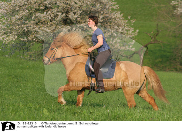 woman gallops with Icelandic horse / SS-22310