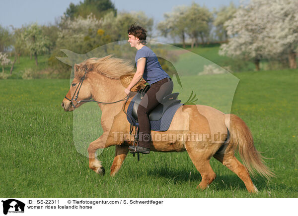 woman rides Icelandic horse / SS-22311