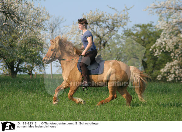 woman rides Icelandic horse / SS-22312