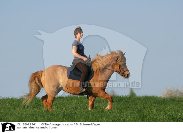 woman rides Icelandic horse / SS-22341