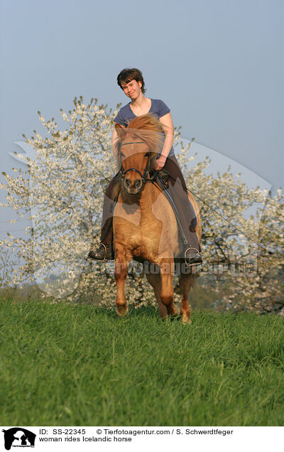 woman rides Icelandic horse / SS-22345