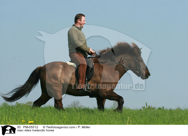 man rides Icelandic horse / PM-05012