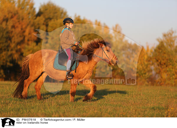 Reiterin auf Islnder / rider on Icelandic horse / PM-07618
