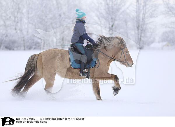 Reiterin auf Islnder / rider on Icelandic horse / PM-07650