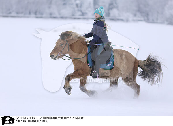 Reiterin auf Islnder / rider on Icelandic horse / PM-07658