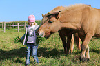child and Icelandic horse