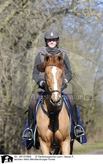 woman rides Mecklenburger horse / AP-07884