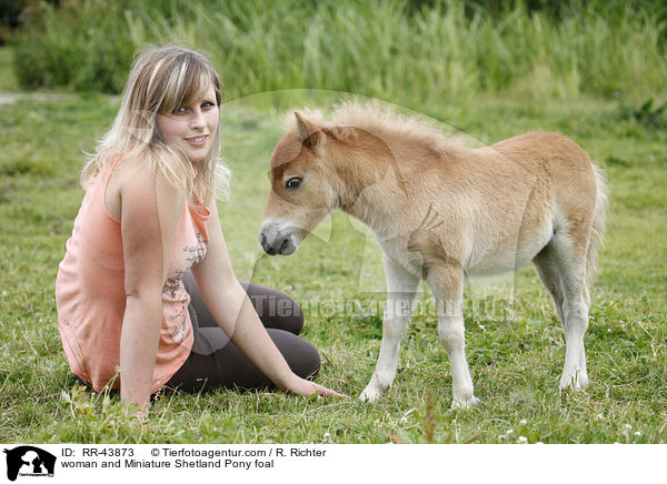 woman and Miniature Shetland Pony foal / RR-43873