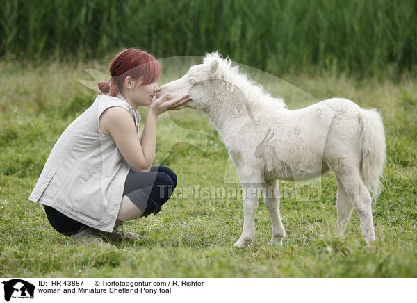 woman and Miniature Shetland Pony foal / RR-43887