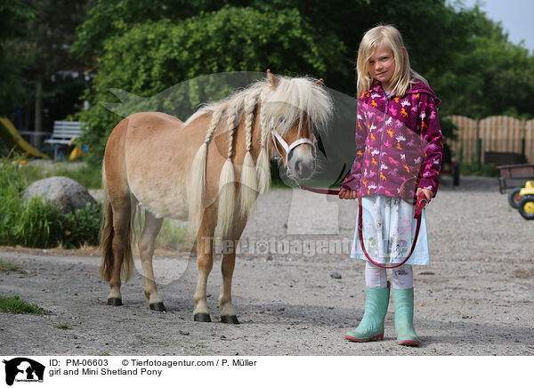 girl and Mini Shetland Pony / PM-06603