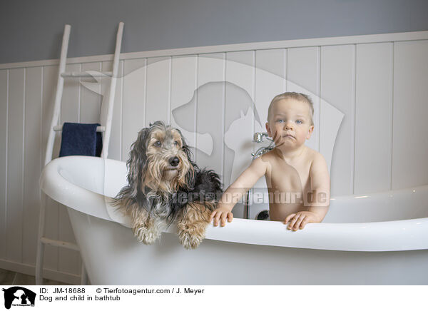 Dog and child in bathtub / JM-18688