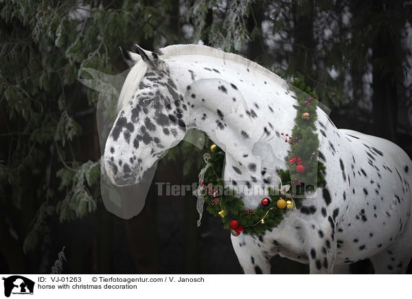 horse with christmas decoration / VJ-01263