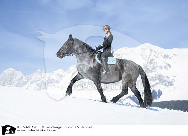 woman rides Noriker Horse / VJ-03120