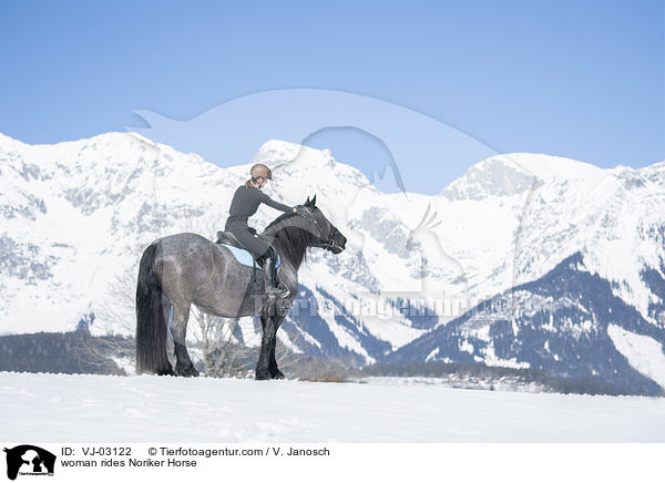 woman rides Noriker Horse / VJ-03122