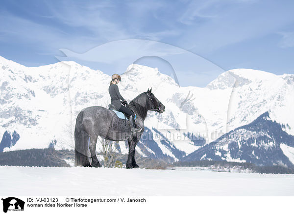 woman rides Noriker Horse / VJ-03123